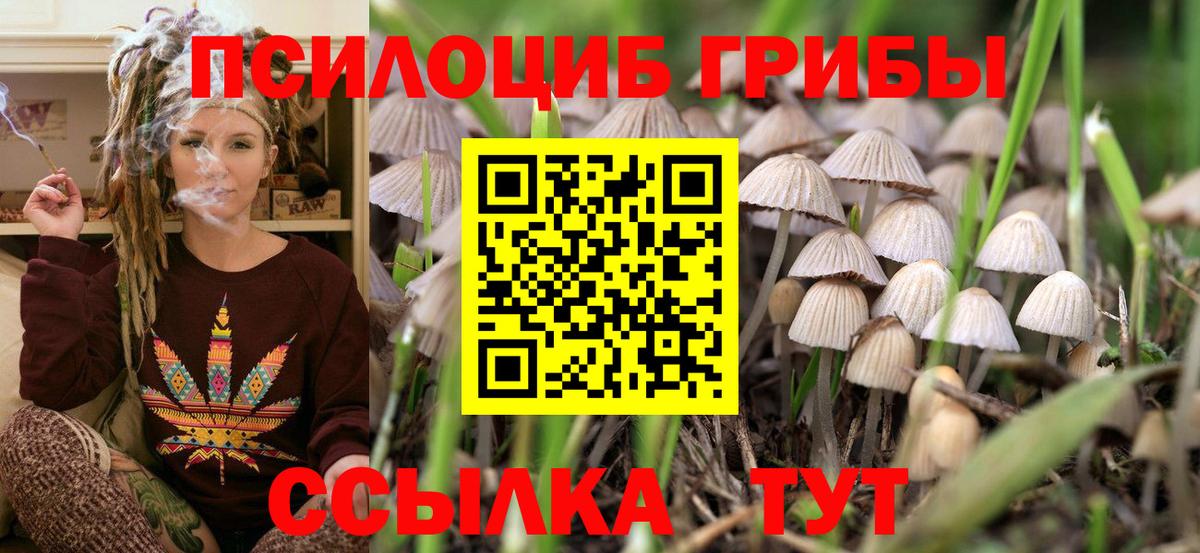 Псилоцибиновые грибы прущие грибы  Вход с VPN  Всеволожск 